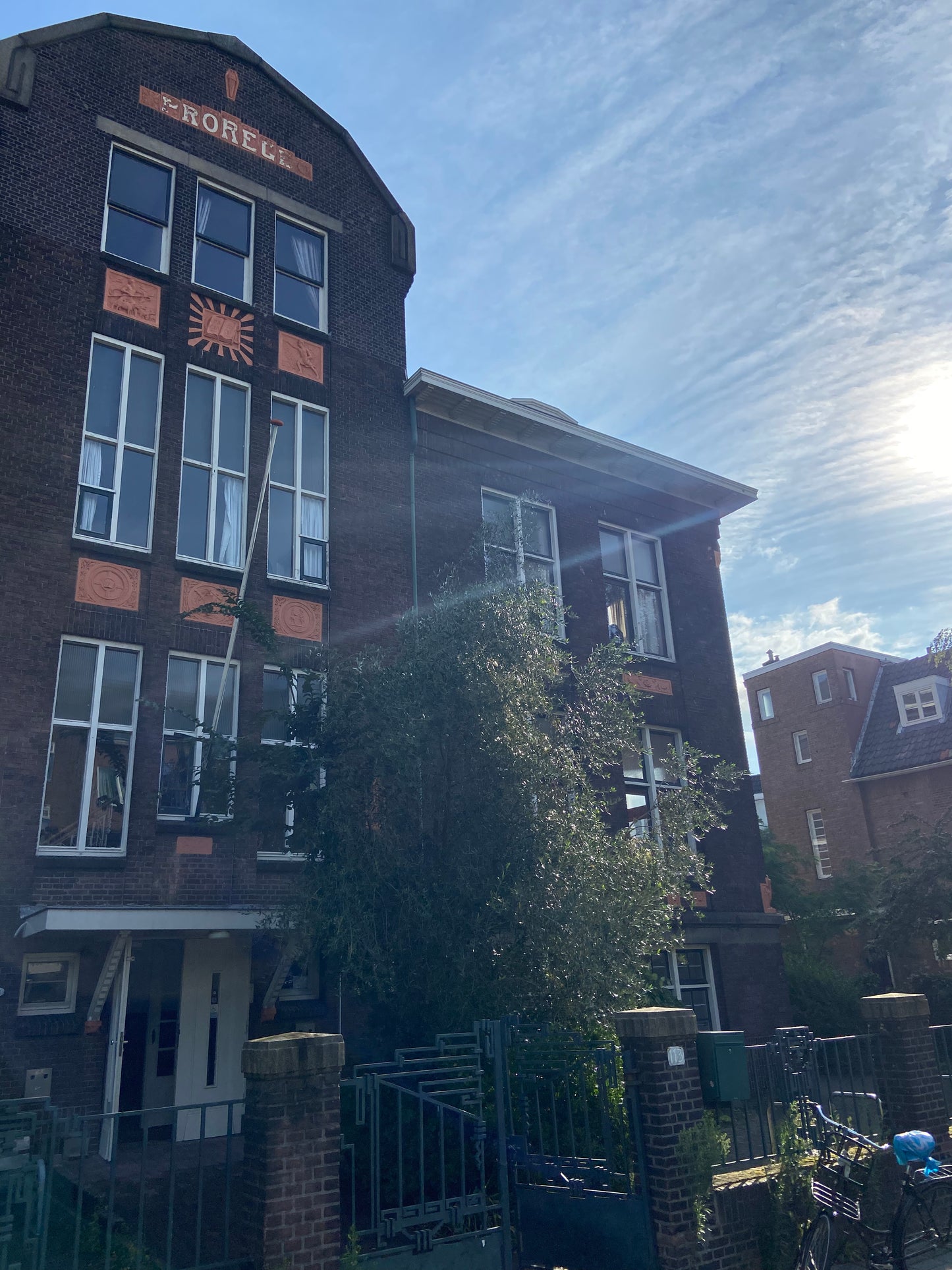 Keyhole limpet Shell