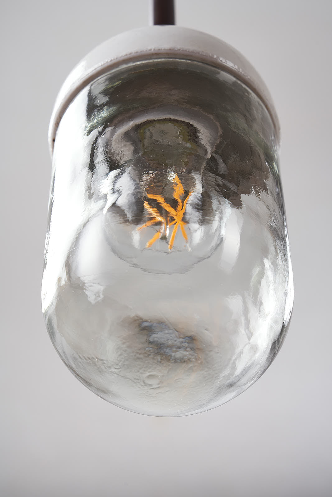 Baby Nautilus