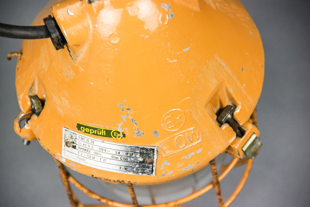 Orange Flying Dragon