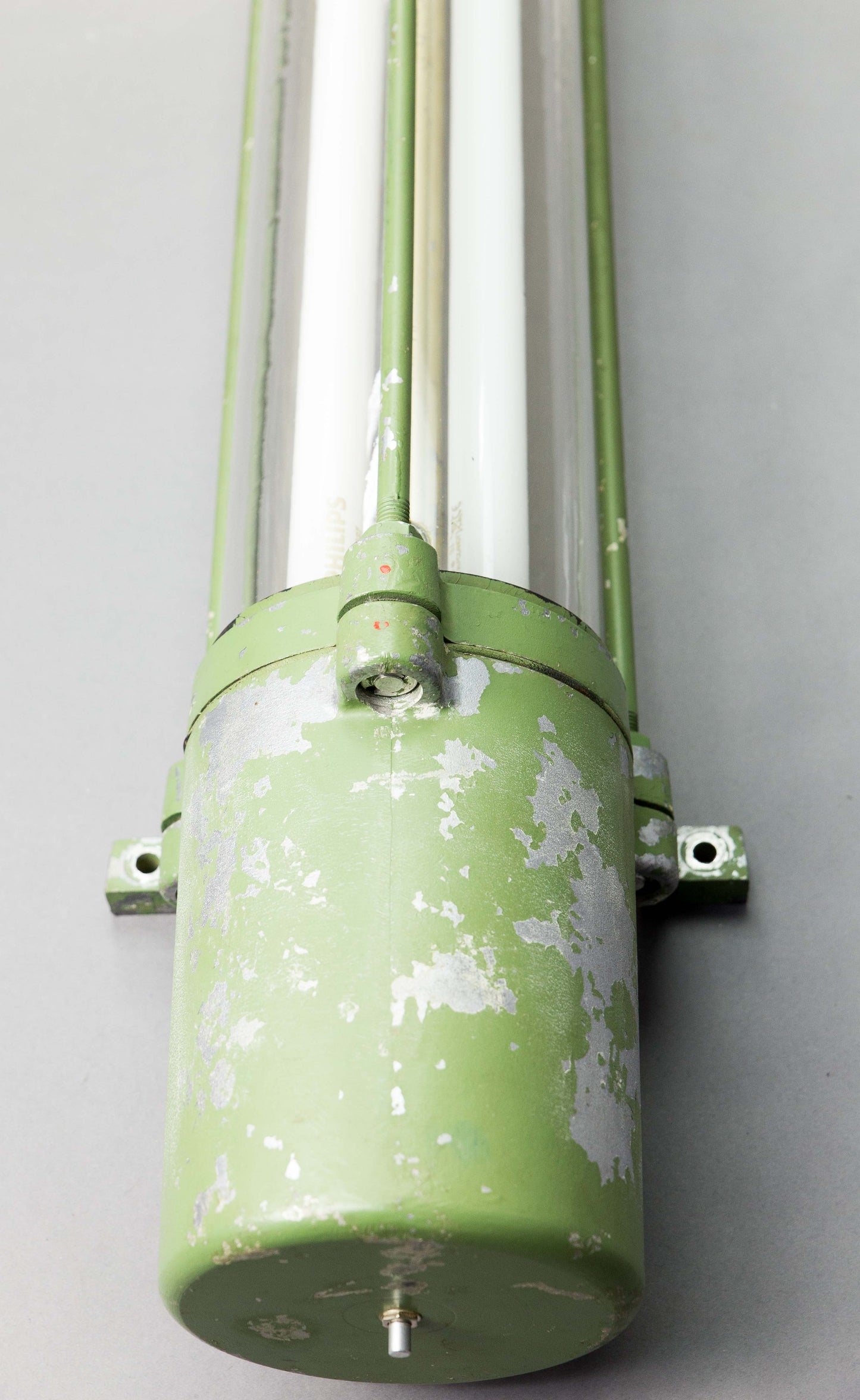 Green Rhino