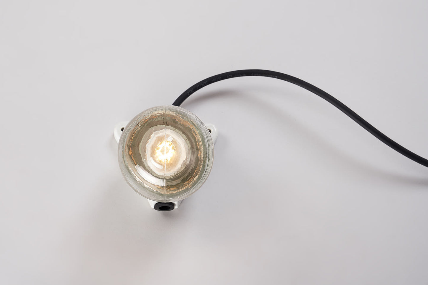 Little Thorny Oyster